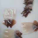 주문진항 [생물 오징어]=[6/26일 목요일 배송]=30박스 이미지