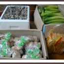 구름성가든 Daum카페