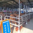 경산종합축산 이미지