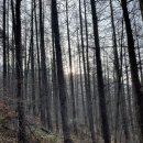 광산초등학교흘리분교장 이미지