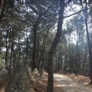 이기대큰고개약수터 | 오륙대해맞이공원의 수선화와 이기대(장자산) 둘레길 탐방