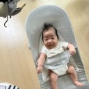 리틀베이비 베이비뵨 바운서 30일 대여 후기
