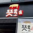 뜻품고