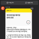 서린카 이미지