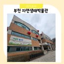 자연생태공원 나비표본전시관1층 | 서울근교아이랑 부천자연생태공원박물관 수유실 정보