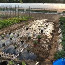 햇살농장2 이미지