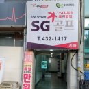 비전스크린골프 이미지