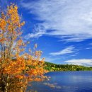 남상천한의원 이미지