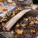 장어의꿈 이미지