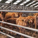 텃골쉼터 이미지