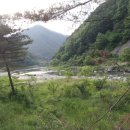 창촌민박 이미지