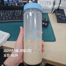 11650-7-4-1 | [스위치온다이어트] 스위치온 다이어트 4~7일차 후기! +1주차 종합 평가