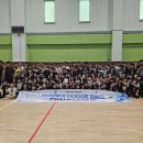 한국체대 석사 멀티짐 합기도 사당점 | 한국체대석사멀티짐 본관 여름방학 특강2025SUMMER DODGEBALL CHAMPIONSHIP