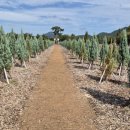 향나무공원 화장실 이미지