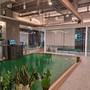 드림54 골프아카데미 이미지