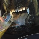 신원오리농장 이미지