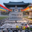 정방 | [2026 제주 행사] 부처님오신날 연등 축제 🕯️ 제주시·서귀포시 추천 사찰 9곳