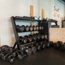 고 베어 짐 이미지