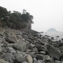 서귀동-23 이미지