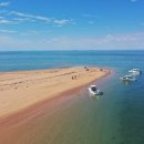 cocos(코코스) 이미지