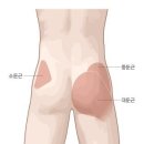 동해스파휘트니스 이미지