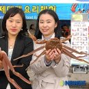 울진대게 이미지