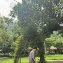 진현농장 | 2025. 나트랑🇻🇳 DAY 3_ 나의 첫번째 버킷리스트를 함께 해줘서 고마워