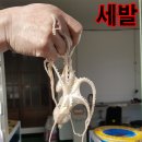 울대마을&황칠오리 네이버블로그