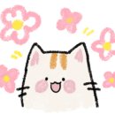 광주패밀리랜드(주) 이미지