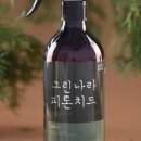 그린나라