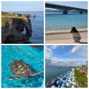 마을과 마음 다시 잇기 공연 | 오키나와 북부투어 후기 (만좌모, 코우리, 비세마을, 츄라우미 수족관, 아메리칸빌리지)