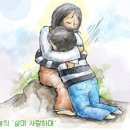 아바라이브 Daum카페