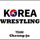 팀레슬라이킥