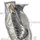 달천한의원 이미지