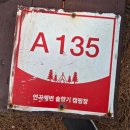솔향기캠핑장 | 강릉 연곡해변 솔향기캠핑장 명당 A존 A135 후기