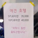 해피 애견 놀이방 이미지