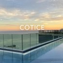 코티스 앰버서더 이미지