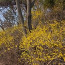 똘이PC방 | 2026.03.29