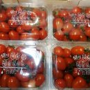 세영청과 이미지