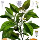 주례1동행정복지센터 이미지