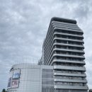 플레이그라운도그