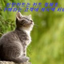 신한 자동차 네이버블로그