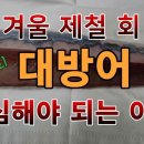 대방어속에 기생충 이미지