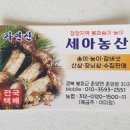 필라이브7080 이미지