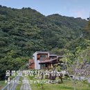별밤지기 | 울릉도 숙소 추천 컨디션 좋고 별이 쏟아지는 별밤지기와섬농부 팬션