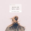 필릭스스칼프 네이버블로그