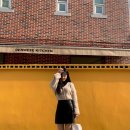 덴웨스(DENWESE) 이미지