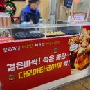 효천지구 타코야끼 다모아 반가워서 당장 포장했어요