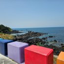 성화오토바이 | 제주도 오토바이 렌트, 초보자도 안심하고 타는 스쿠터 대여 꿀팁