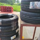 둥이모터스&타이어 이미지